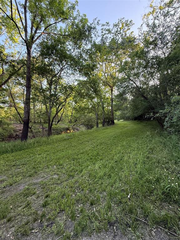 7442 Cobbs Oak Lane, Rosharon, Texas image 9