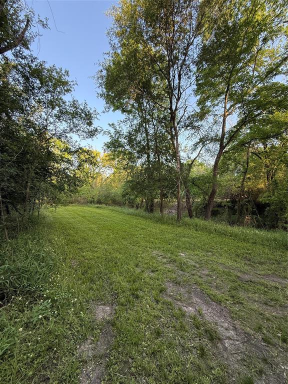 7442 Cobbs Oak Lane, Rosharon, Texas image 8