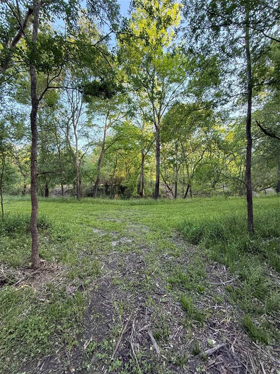 7442 Cobbs Oak Lane, Rosharon, Texas image 25