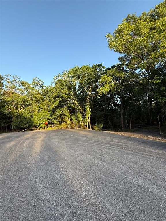 7442 Cobbs Oak Lane, Rosharon, Texas image 3