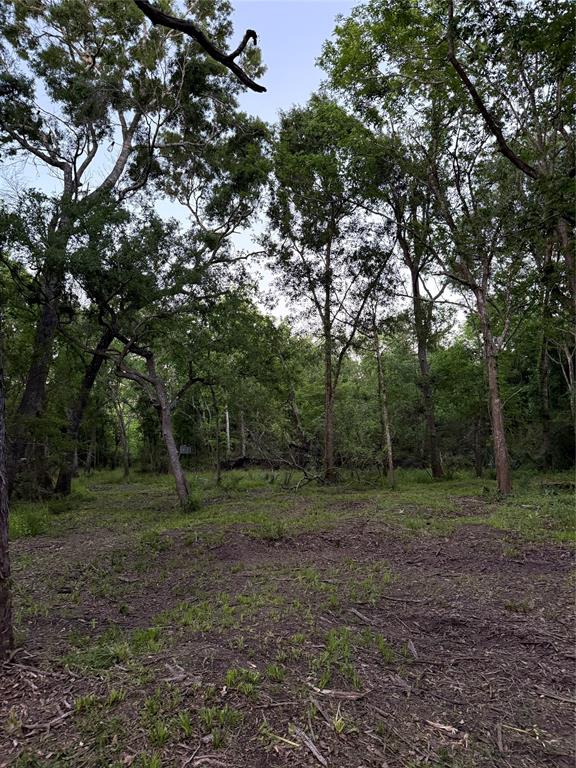 7442 Cobbs Oak Lane, Rosharon, Texas image 19