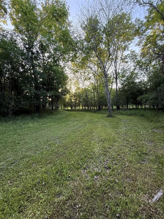 7442 Cobbs Oak Lane, Rosharon, Texas image 10