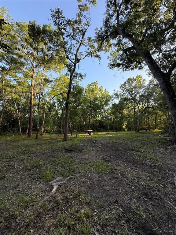 7442 Cobbs Oak Lane, Rosharon, Texas image 18