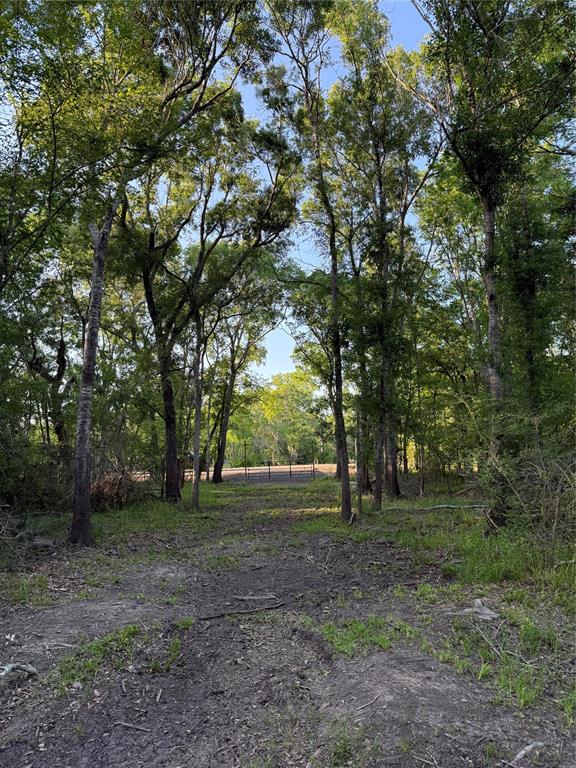 7442 Cobbs Oak Lane, Rosharon, Texas image 24
