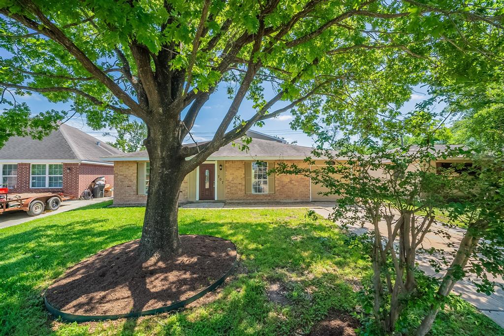 707 Terryhollow Street, Channelview, Texas image 1
