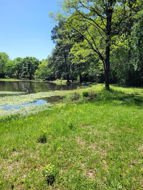 TBD Kelly Rd, Magnolia, Texas image 11