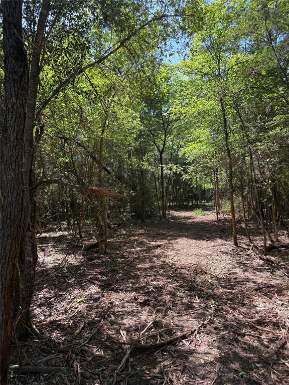 TBD Kelly Rd, Magnolia, Texas image 8