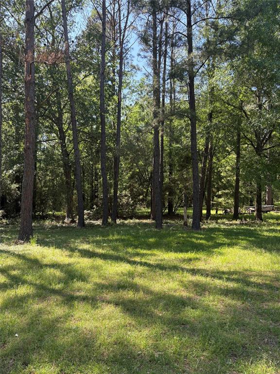 TBD Kelly Rd, Magnolia, Texas image 16