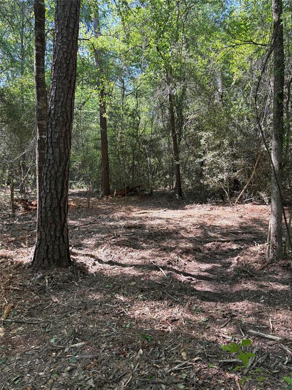 TBD Kelly Rd, Magnolia, Texas image 9