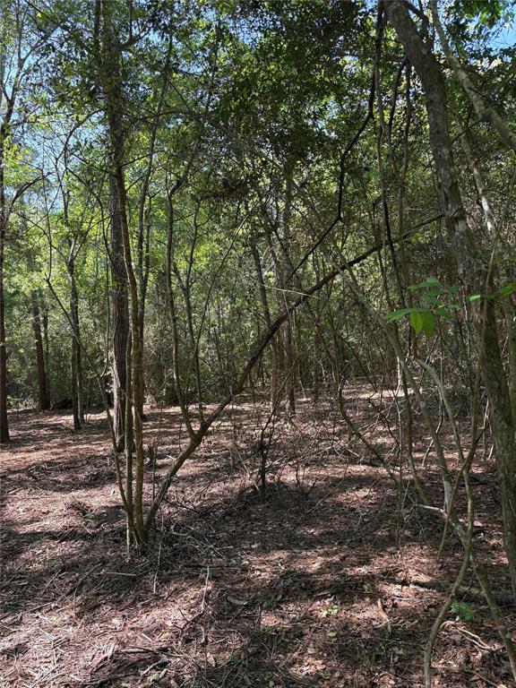 TBD Kelly Rd, Magnolia, Texas image 17