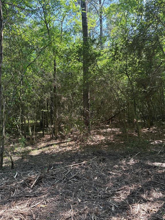 TBD Kelly Rd, Magnolia, Texas image 7