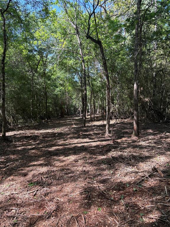 TBD Kelly Rd, Magnolia, Texas image 10
