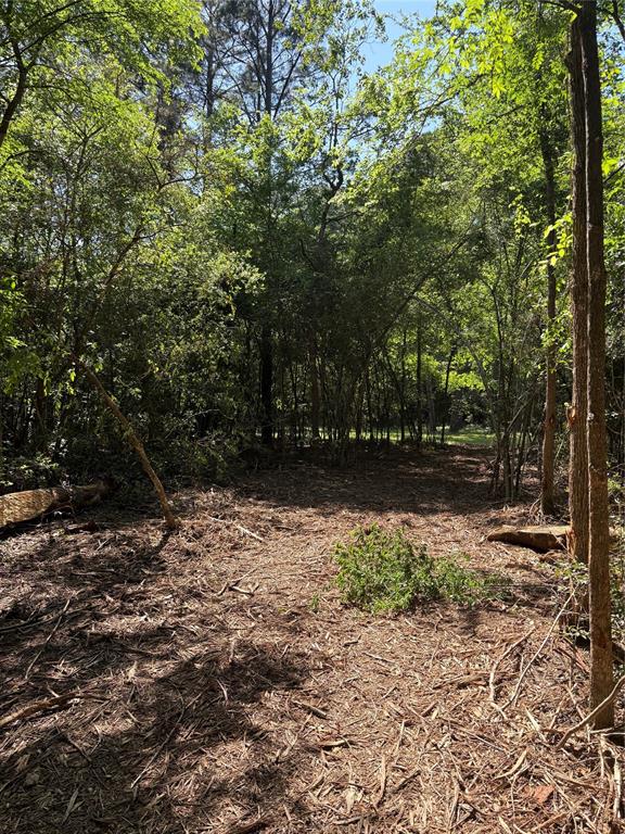 TBD Kelly Rd, Magnolia, Texas image 21