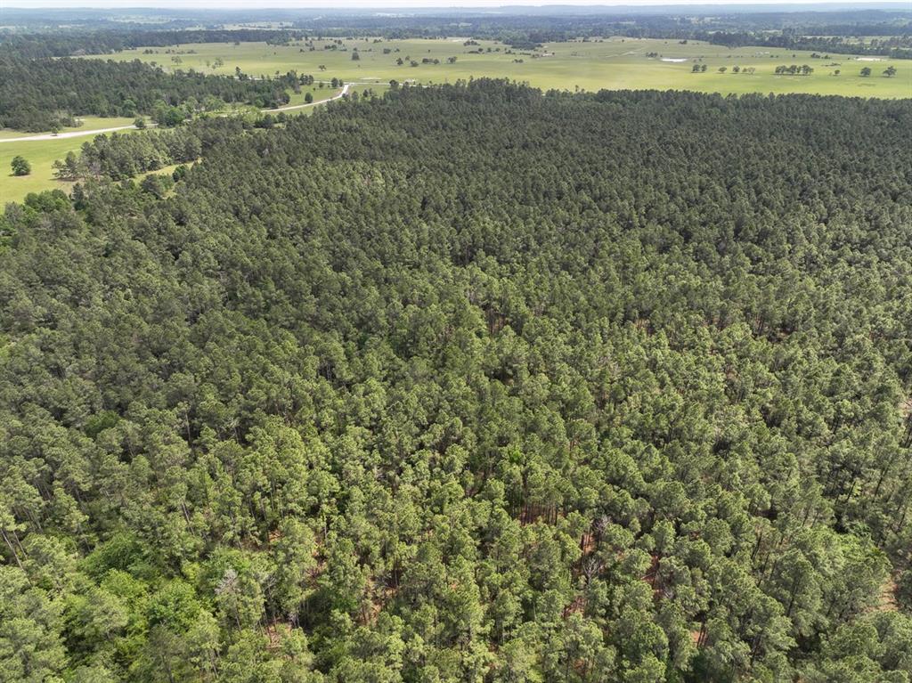 4 Round Prairie Road, Huntsville, Texas image 5