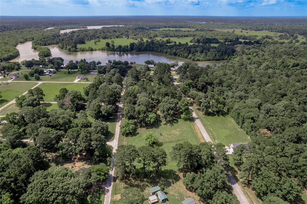 Lot 15 Hermitage Street, Trinity, Texas image 19