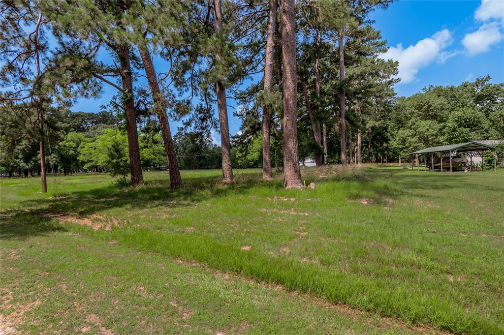 Lot 15 Hermitage Street, Trinity, Texas image 8