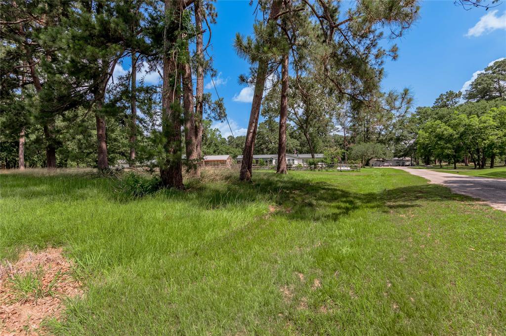 Lot 15 Hermitage Street, Trinity, Texas image 6