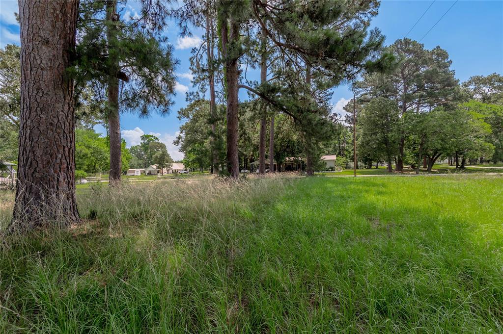 Lot 15 Hermitage Street, Trinity, Texas image 5