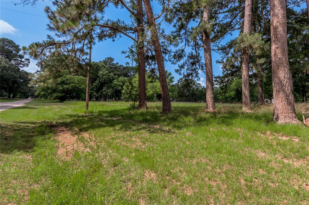 Lot 15 Hermitage Street, Trinity, Texas image 9