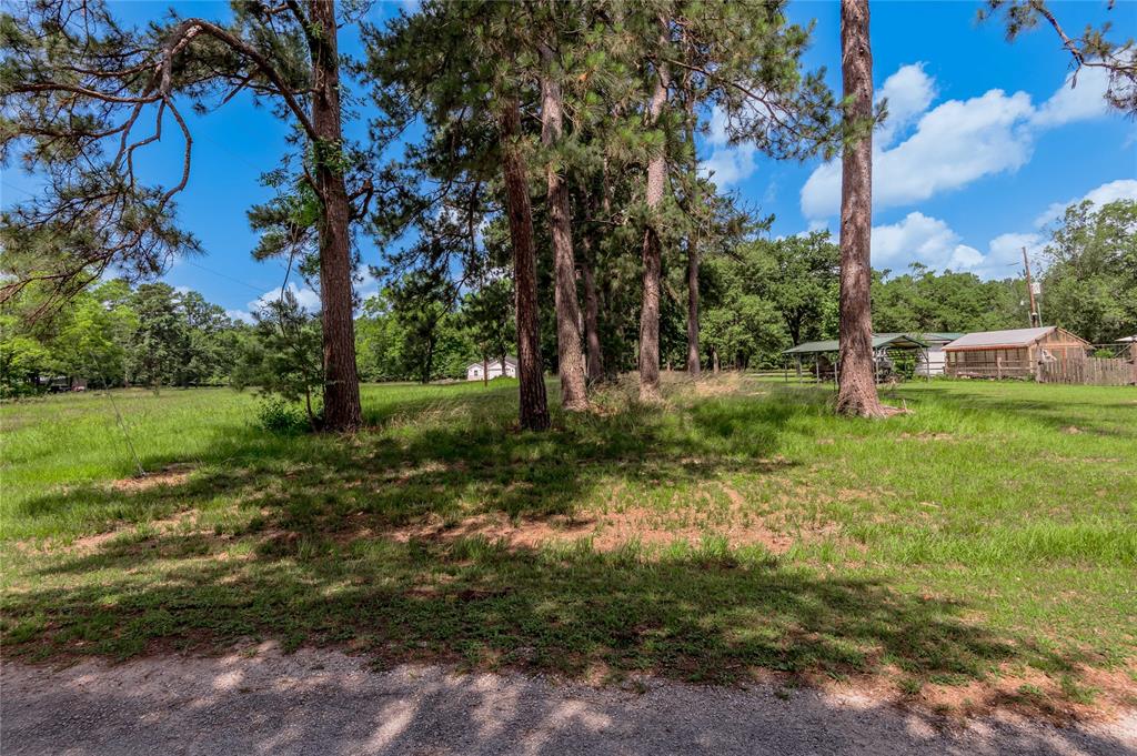 Lot 15 Hermitage Street, Trinity, Texas image 7