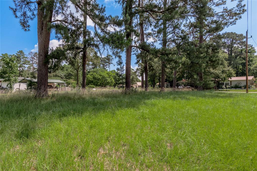 Lot 15 Hermitage Street, Trinity, Texas image 4