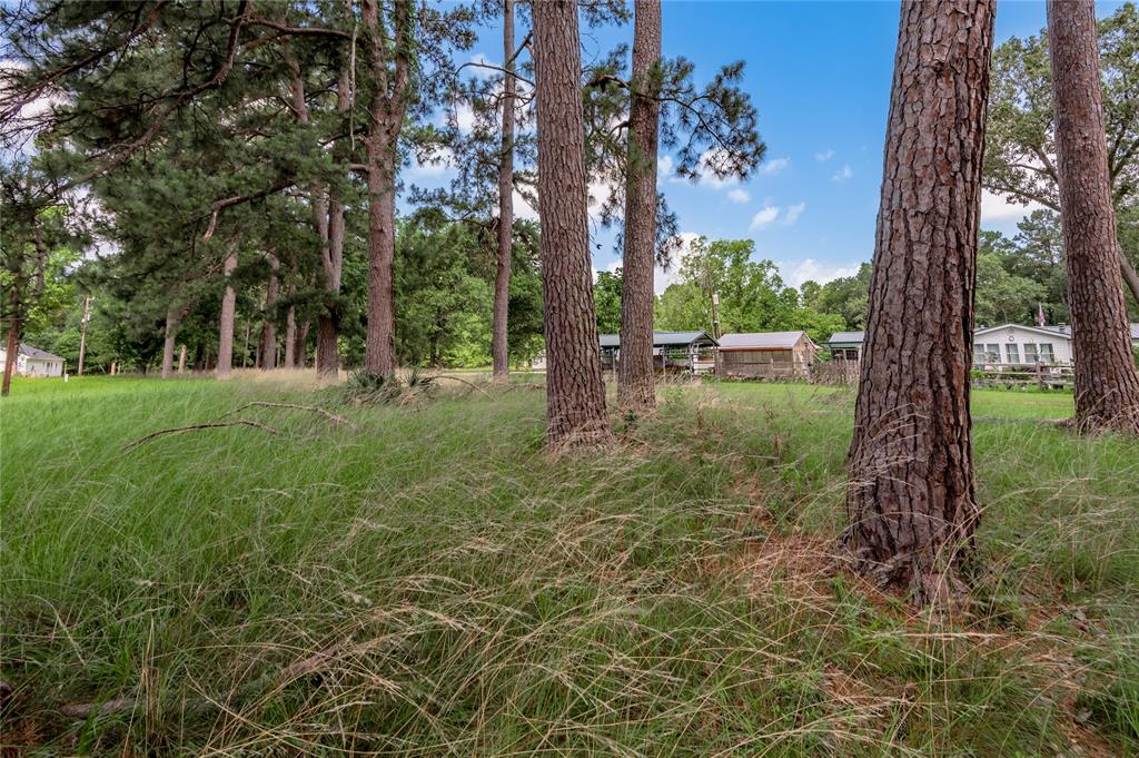 Lot 15 Hermitage Street, Trinity, Texas image 10