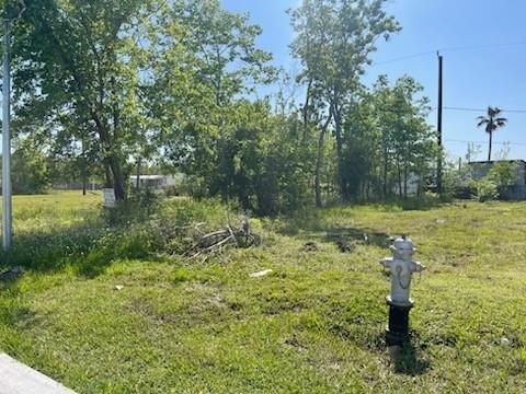 Photo of 0 Gulls Cut S, Baytown, TX 77523 (MLS # 35503206)