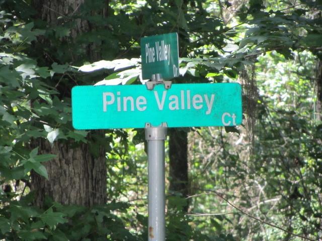 TBD Pine Valley, Huntsville, Texas image 7