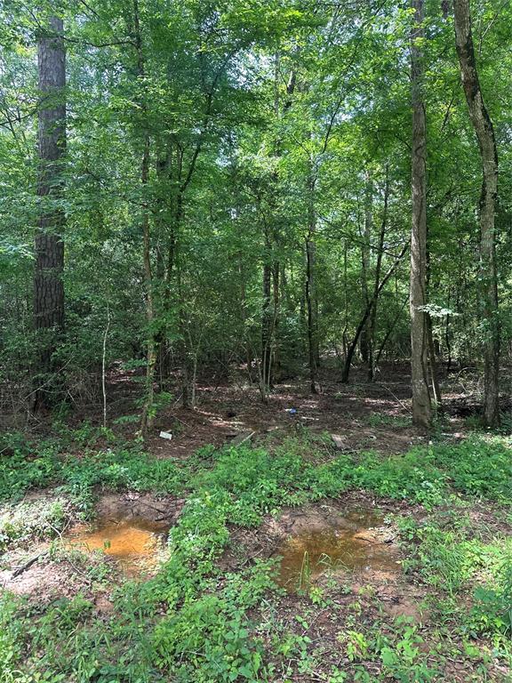 000 Josephine Road, Livingston, Texas image 6