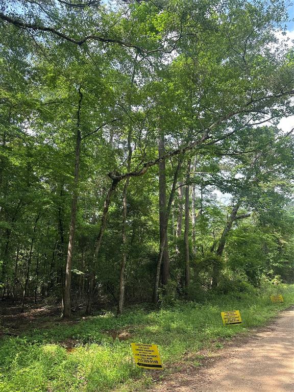 000 Josephine Road, Livingston, Texas image 2