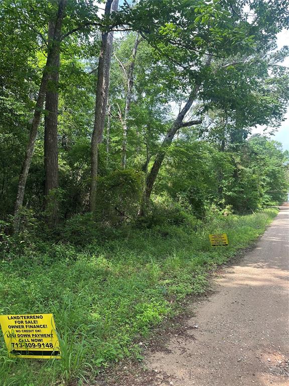 000 Josephine Road, Livingston, Texas image 11