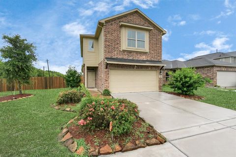 Single Family Residence in Houston TX 12916 Sirkis Street 39.jpg