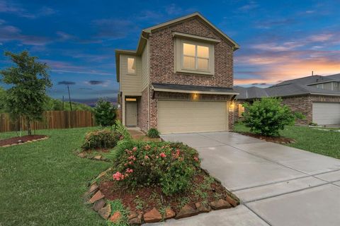 Single Family Residence in Houston TX 12916 Sirkis Street.jpg