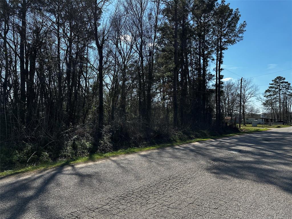 Hughey Street, New Caney, Texas image 7