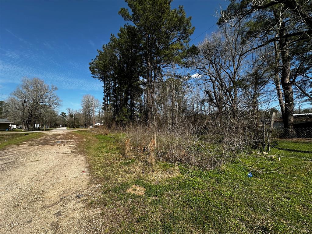 Hughey Street, New Caney, Texas image 8