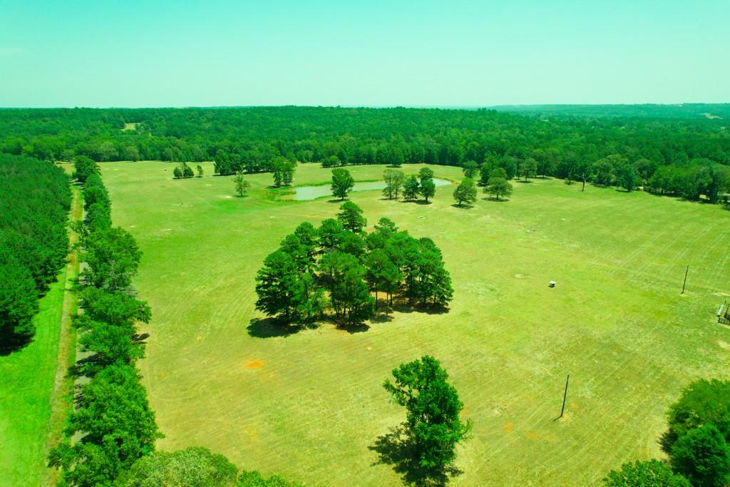 TBD Fm 323 / Acr 1224, Elkhart, Texas image 6