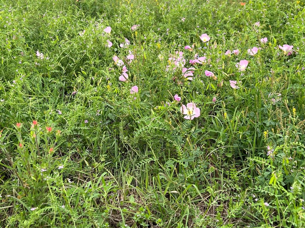 TBD Us Hwy 90a, Shiner, Texas image 9