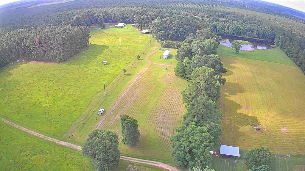 868 Hooks Road, Livingston, Texas image 5