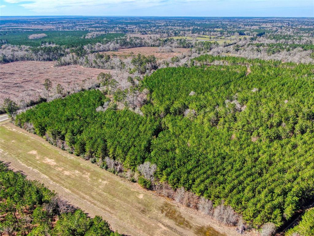12155 State Highway 146, Livingston, Texas image 4
