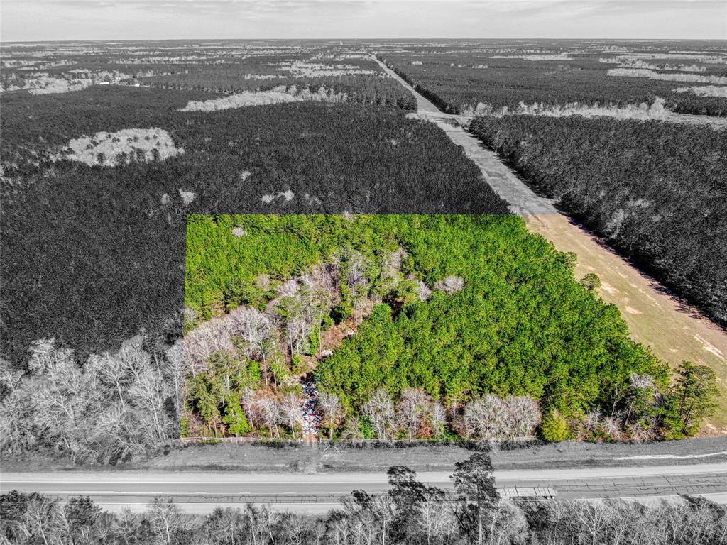 12155 State Highway 146, Livingston, Texas image 11