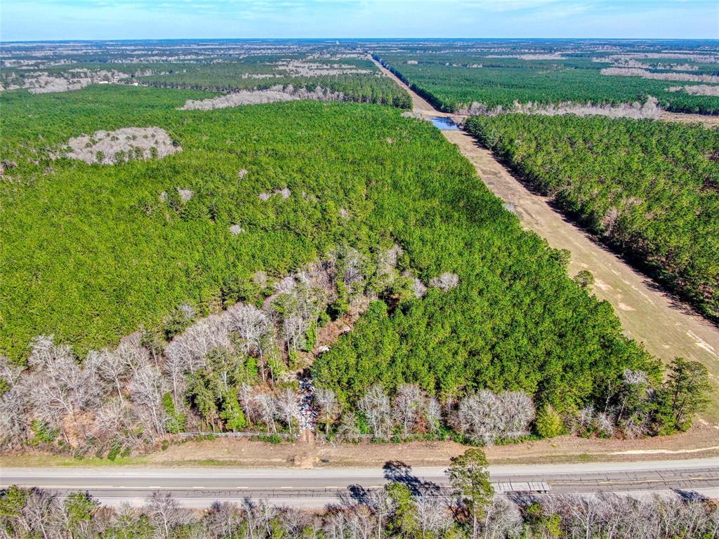 12155 State Highway 146, Livingston, Texas image 3