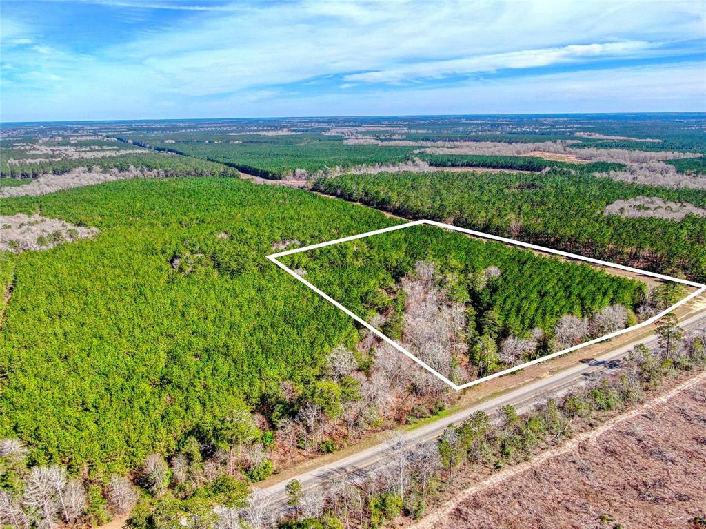12155 State Highway 146, Livingston, Texas image 6