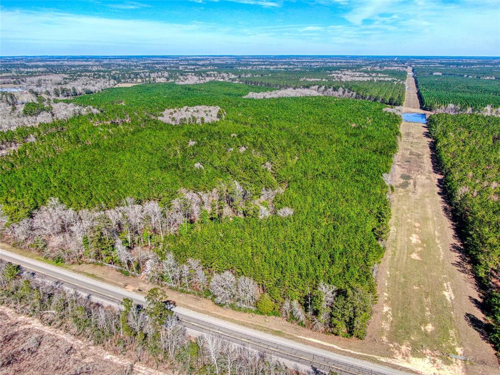 12155 State Highway 146, Livingston, Texas image 1