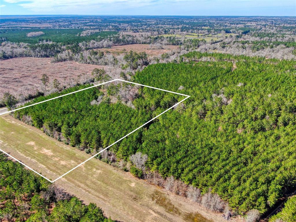 12155 State Highway 146, Livingston, Texas image 7