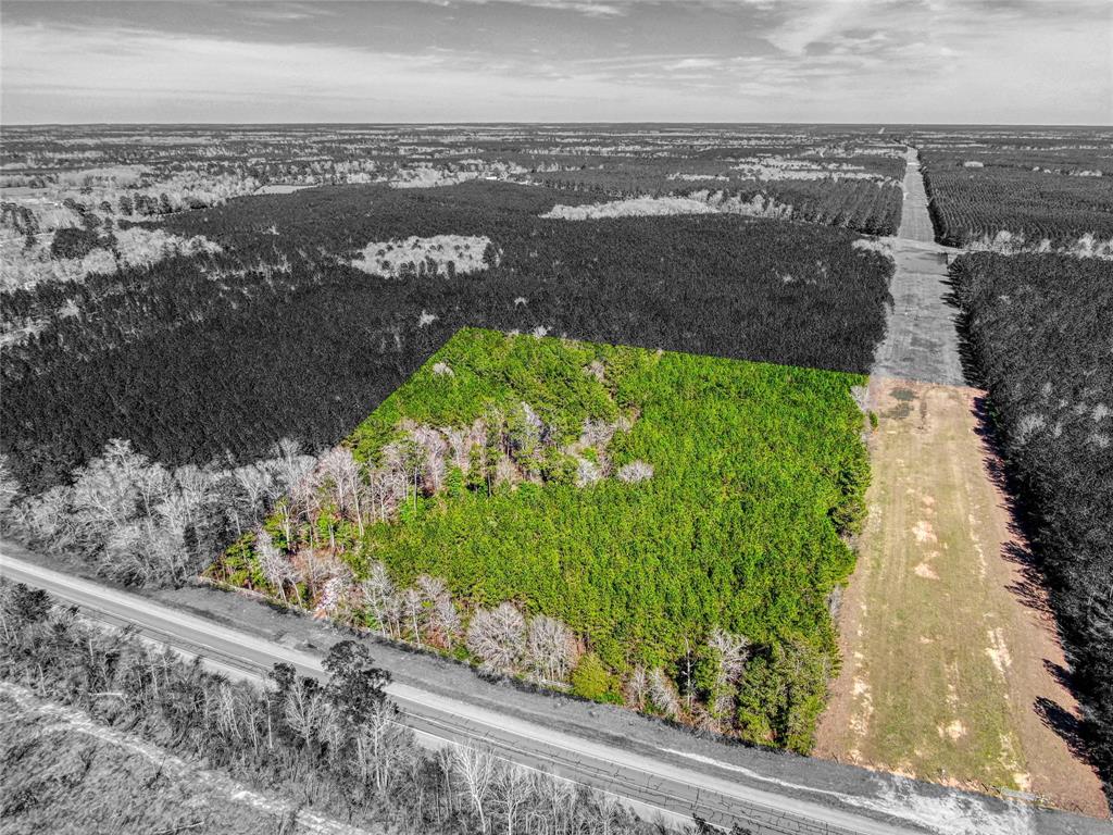 12155 State Highway 146, Livingston, Texas image 10