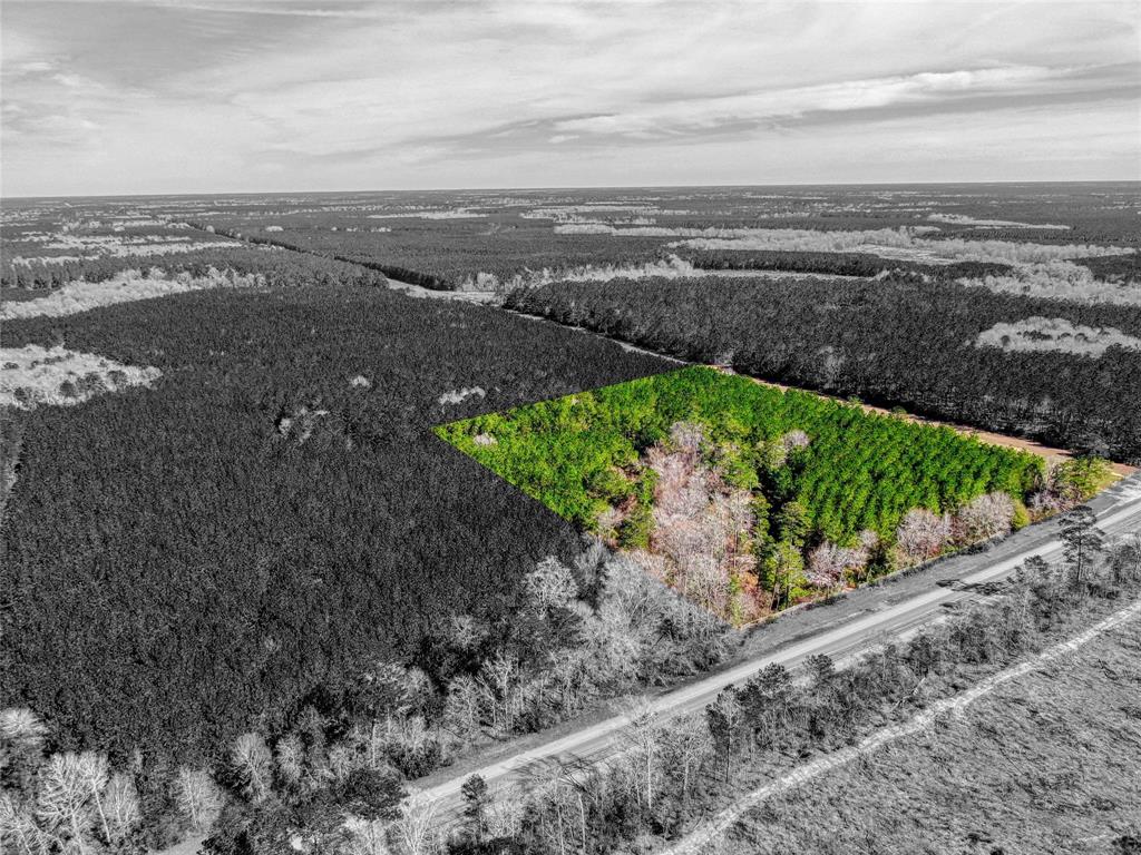 12155 State Highway 146, Livingston, Texas image 9