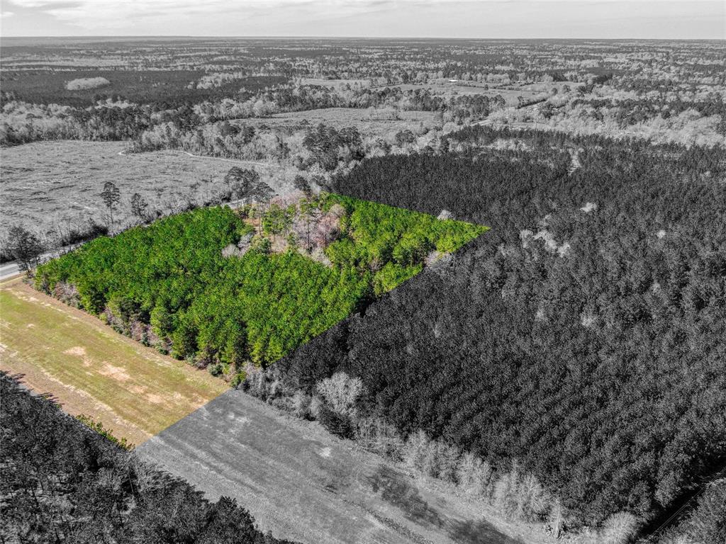 12155 State Highway 146, Livingston, Texas image 8