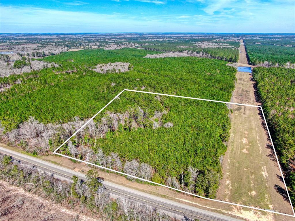 12155 State Highway 146, Livingston, Texas image 5