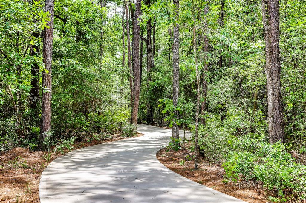 3026 Mallorca Drive, Conroe, Texas image 17
