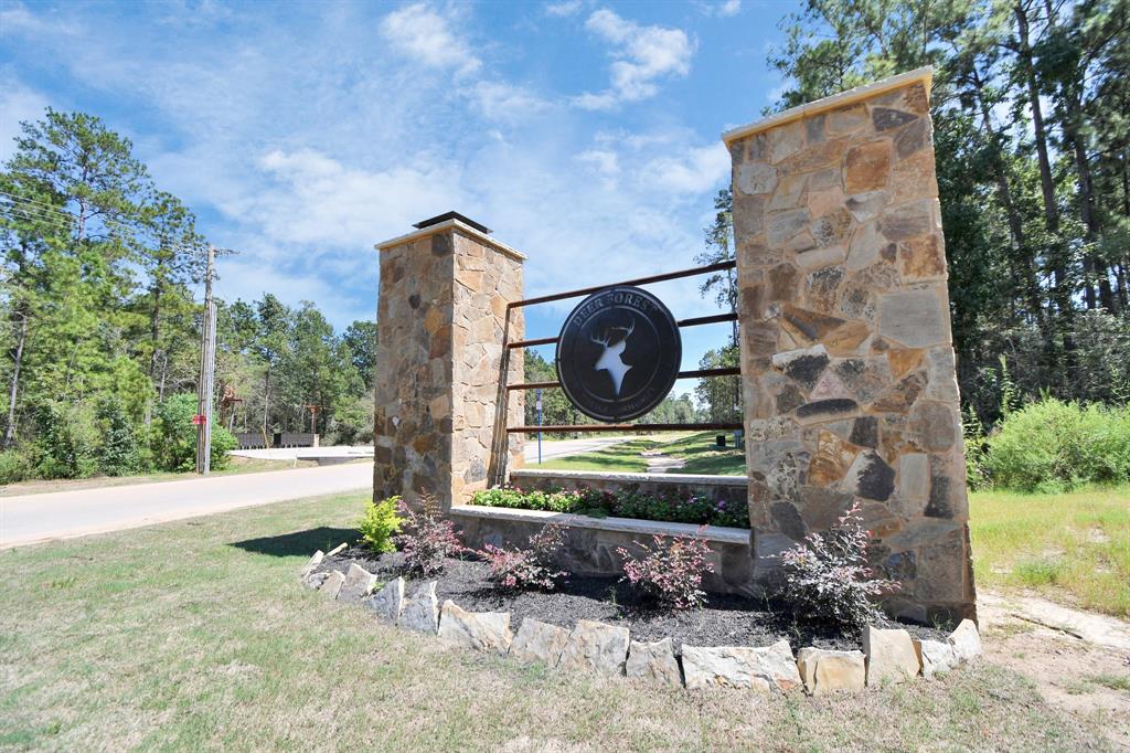 11628 Dawn Tree Lane, Willis, Texas image 1